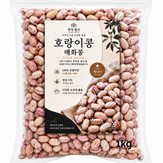 호랑이콩(매화강낭콩) CRANBERRY BEANS 캐나다 CANADA, 1개, 1kg
