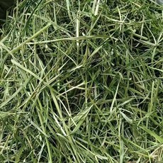 提摩西牧草 兔子天竺鼠倉鼠適用 高纖維助消化 草本香氣 1kg, 1個