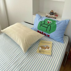 아트 그린소파 베개커버