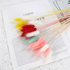 라그라스 강아지풀 프리저브드 조화 도매, 08레드