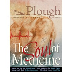 (영문도서) Plough Quarterly No. 17- The Soul of Medicine Paperback, Plough Publishing House, English, 9780874868470