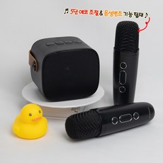플레오맥스 에코 볼륨 조절 듀얼 무선 마이크 + 블루투스 스피커, 본품만구매, 블랙