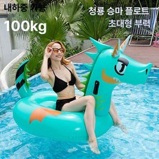 에스앤씨 튜브 감성 테마파크 안전 물놀이 바다 성인, 1개, 드래곤 라이더 175x90x110