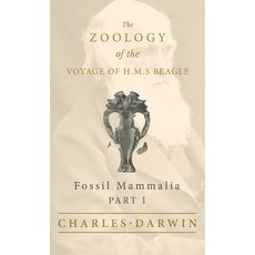 (영문도서)Fossil Mammalia - Part I - The Zoology of the Voyage of H.M.S Beagle Hardcover, White Press, English, 9781528771740