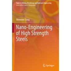 (영문도서) Nano-Engineering of High Strength Steels Paperback, Springer, English, 9783031429699