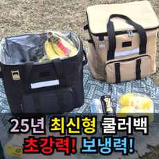 [하루종일 차가운] 보냉백 보냉가방 아이스 쿨러백 대형, 41L, 블랙