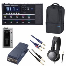 보스/GT-1000 FS-7 + EV-30