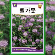 벨가못 씨앗 1000립 밸가못 박하 허브 종자 오스웨고티