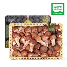 [생산자직송] 충북 박대선님의 무농약 VVIP 참송이 버섯 선물세트, 1개
