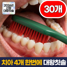 필모어 6세대 한번에 이빨 닦는 대왕 헤드 미세모 칫솔 세트, 1개, 30개입