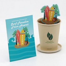 하와이 허브 식물 키우기 씨앗 재배 카드 선물 11종, 로즈마리