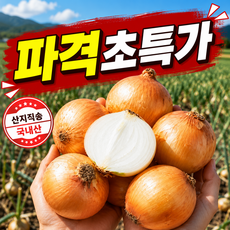 [100박스한정판매] 2026년도 국내산 산지직송 햇양파, 1박스, 5kg(중)