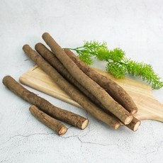 [더조은] 국내산 생 우엉 (알뜰반찬용 가는것), 1박스, 2kg