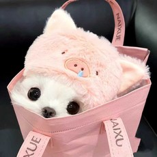 고양이 코스튬 모자 상어 돼지 레몬 포도 인형 모자, 1개, L (11kg 이하) 핑크 돼지