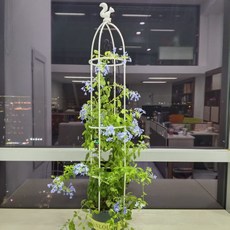 유럽식 식물지지대 장미아치 정원 원예 넝쿨 화분 지지대 145cm 화이트 다람쥐꽃봉오리+새꽃봉오리, 1세트