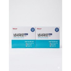 불스원 냄새제로 항균 활성탄 에어컨히터 필터 2개 세트, 21