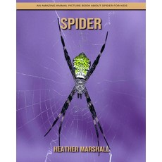 Spider: An Amazing Animal Picture Book about Spider for Kids Paperback, Independently Published