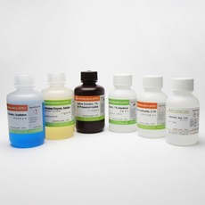 효소실험세트 (카탈라아제) 카탈라아제효소실험세트