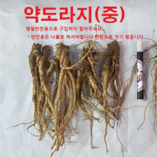 국산 약도라지 나물용 생도라지 모종용도라지 건도라지 금산 3년근 1kg, 1개, 1kg 약도라지(중)-미세척
