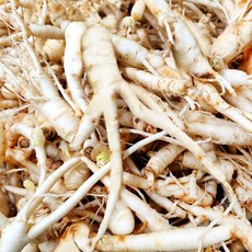 금산 후금이네 싱싱한 인삼 수삼 세척 파삼 막삼 못난이삼, 2개, 300g