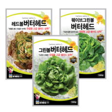 유럽상추 버터헤드 씨앗 3종세트, 1개