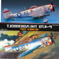 [하늘다원]EA 아카데미 프라모델 1대72 P-47D 버블 탑 12491, 본상품