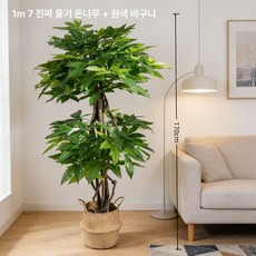 실내 가짜나무 장식 인공 거실 인테리어 행운목 테라스, 1m 7 단색 바구니 포함