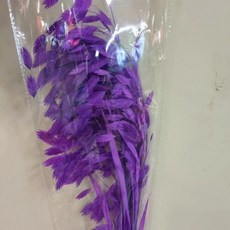 小盼草永生花真花幹花雲南工廠材料家居裝飾, 深紫色（漂色10支)