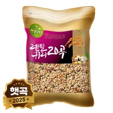 현대농산 렌틸콩 귀리혼합 20곡 혼합곡 5kg, 1개