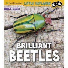 Brilliant Beetles: A 4D Book Paperback, Pebble Books