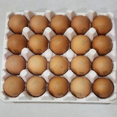 1+등급 계란 특란 20구