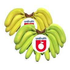 더노랑 필리핀 바나나 델몬트 유니 4.2kg 6kg 13kg, 1박스, 4.2kg내외, 바나나2송이(유니6수대과크기)