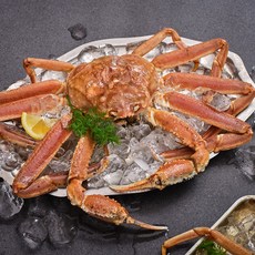 [크랩플릭스] 활대게를 바로 자숙한 프리미엄 러시아 대게 (수율90%/수율보장제/동해항 인근 자사 직수입/HACCP 자숙/스노우크랩), 1박스, 1kg (1마리)