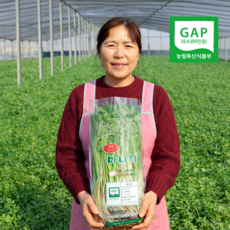 [GAP인증] 국내산 청도 지하암반수 손질 미나리, 1개, 1kg