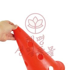 스포츠 훈련콘, 레드