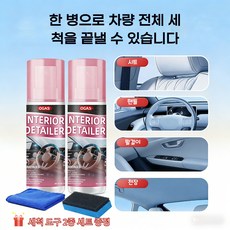 자동차 가죽 클리너 컨디셔너 1+1 세트 헹굼 불필요 간편 세척 + 청소도구 2종 증정, 2개, 100ml