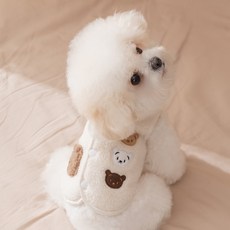 petdog 강아지 옷 봄옷 소형견 중형견 애견의류 티셔츠 산책복, 미색, 1개