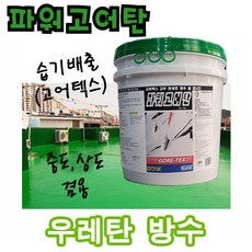 파워고어탄 1L 습기배출 고어텍스 옥상 방수 벽면 탄성, 고어 하도 겔 점도 1L, 투명, 1개