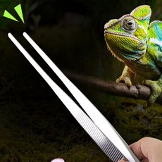 바라던리빙 파충류 핀셋 피딩