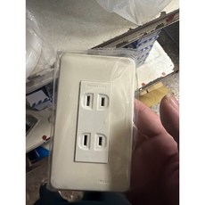 Panasonic 國際全彩雙插座 (附蓋板) 125V 15A, 1個