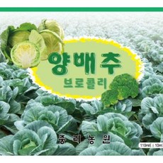 중리농원 양배추 브로콜리즙 100ml 50개, 중리농원 양배추 브로콜리즙, 100ml, 50개