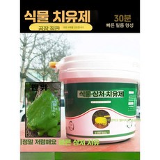 핏앤케이 톱신페스트 수목 톱신 보호 경농톱신페스트 대용량, 1개, 브라운 힐링제 500gx1병 (브러쉬 포함)