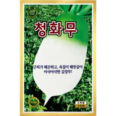 KS종묘 청화무 종자 신속한 비대 연녹색 다수확 무씨앗 절임용 김장용 재배용 2000립 KS, 1개