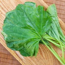 당일채취 국내산 생 아욱 나물, 200g, 1개