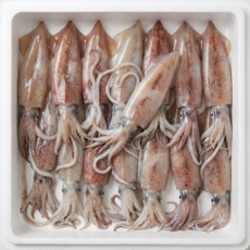 [한정특가] 원양산 급냉 생물 한치 통찜용, 2개, 총알 500g 20미내외