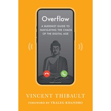 (영문도서)Overflow: A Buddhist Guide to Navigating the Chaos of the Digital Age Paperback, Shambhala, English, 9781645474982