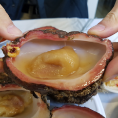 [산지직송]해녀가 채취한 자연산 돌멍게, 1개, 3kg