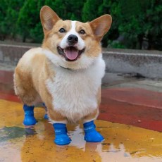 반려동물 외출 실리콘 논슬립 소프트 레인부츠 S M L pow+131vt, 블루_L