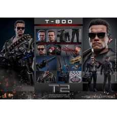 Hot Toys《魔鬼終結者》T-800 1/6 比例可動人偶, 1個