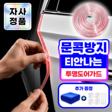 강철가드 흔적없는 스크래치방지 자동차 문콕방지 도어가드 몰딩 3종, 1개, 투명